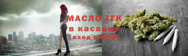 гидра Бородино
