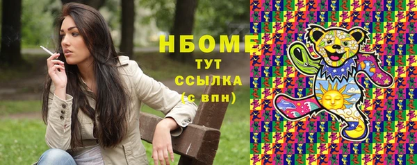 гидра Бородино