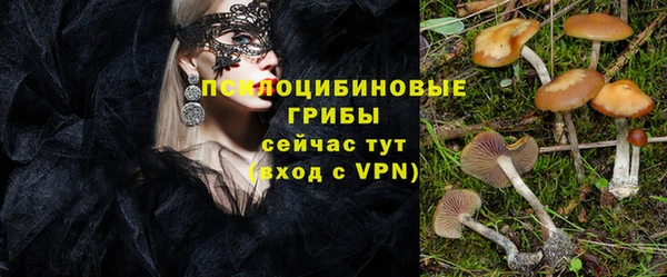 ГАЛЛЮЦИНОГЕННЫЕ ГРИБЫ Покровск