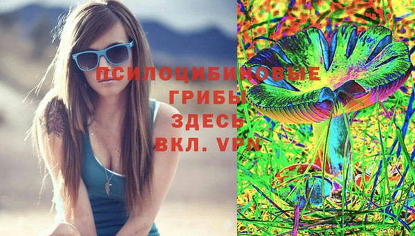 ГАЛЛЮЦИНОГЕННЫЕ ГРИБЫ Покровск