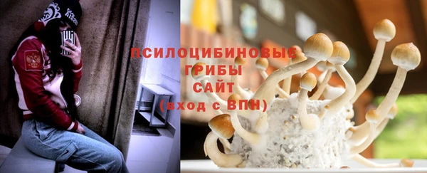 гидра Бородино