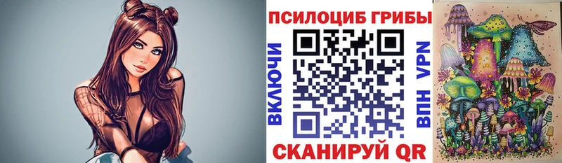Псилоцибиновые грибы Psilocybe  закладки  Кодинск 